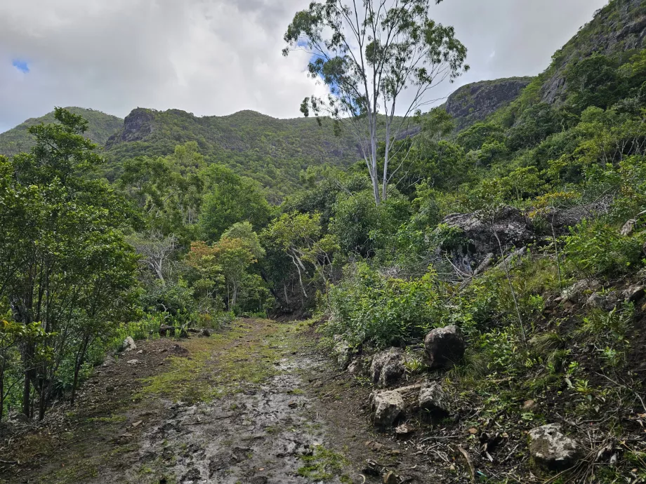 Parco delle Gole del Fiume Nero