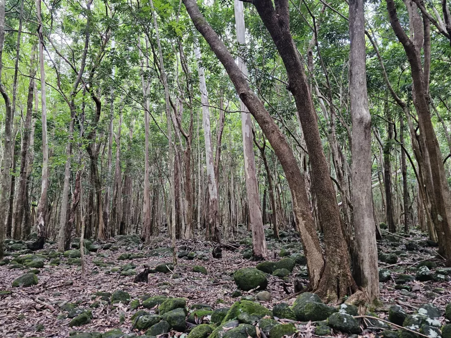 Parco delle Gole del Fiume Nero