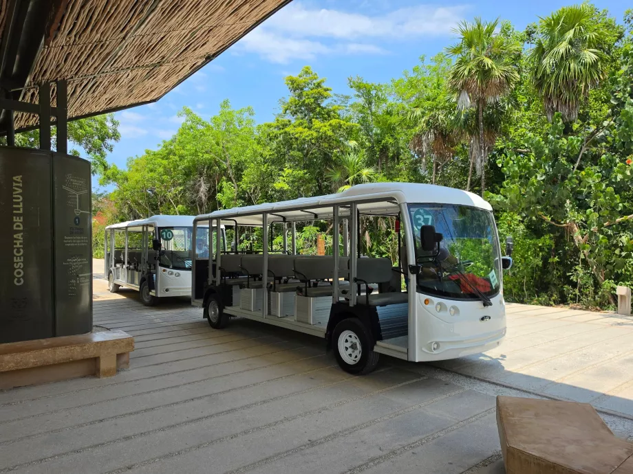 Sito archeologico di Tulum, trasporto in autobus elettrico