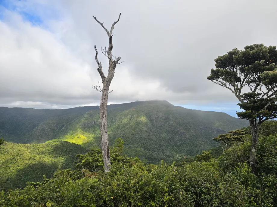Vista dal Machabee Loop