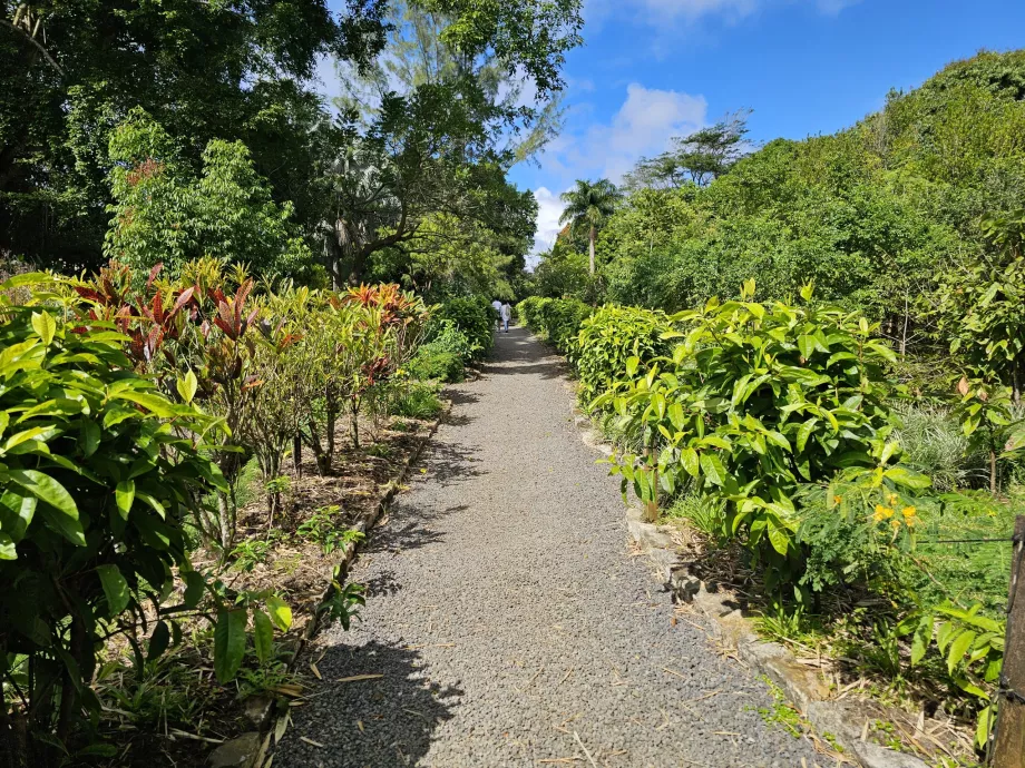 Saint Aubin, giardino botanico