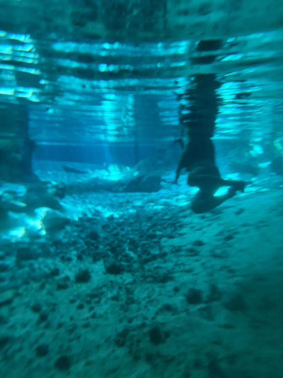 Una vista sott'acqua al Gran Cenote