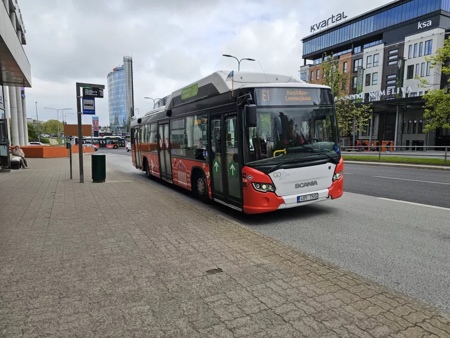 Fermata dell'autobus E1 nel centro città