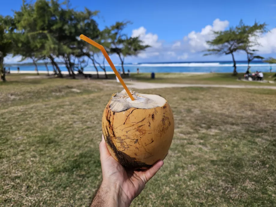 Noce di cocco sulla spiaggia
