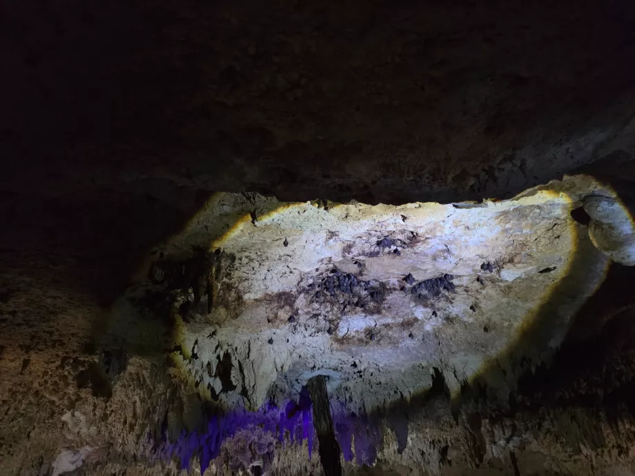 Grotta di Aktun Chen