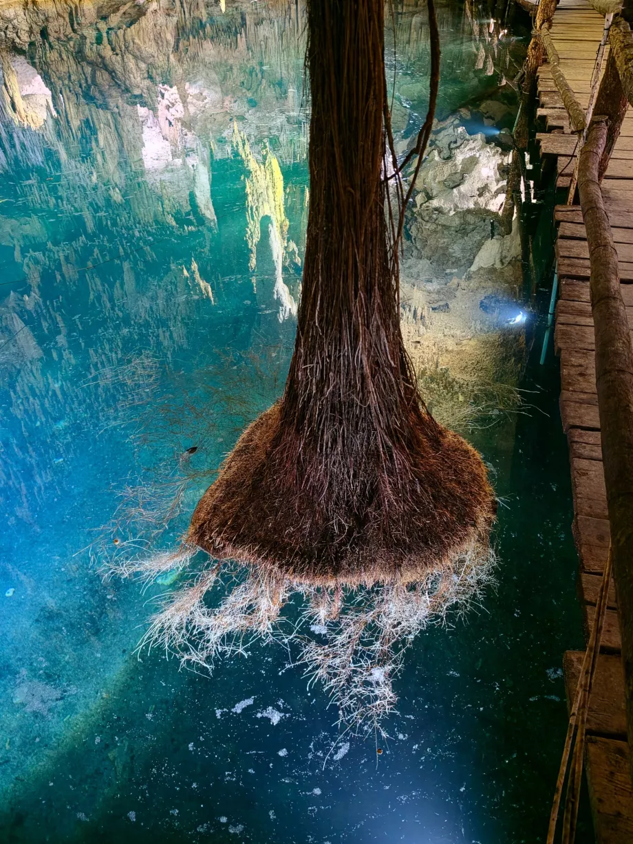Grotta di Aktun Chen