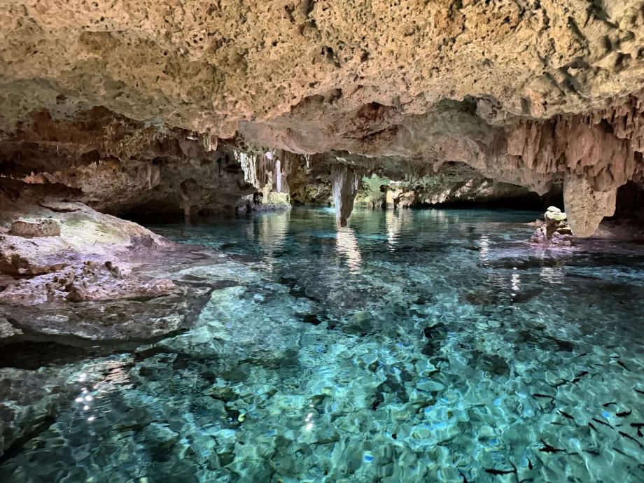 Cenote di Aktun Chen