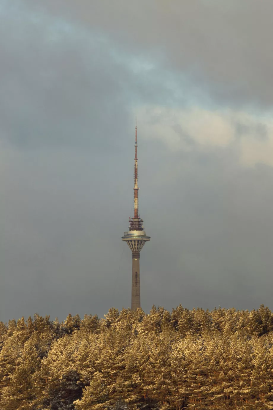 Torre della televisione