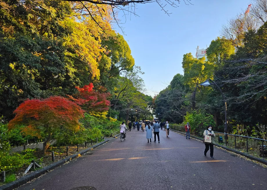 Parco di Ueno