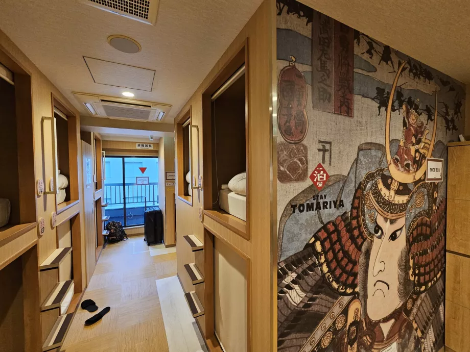 Area comune e capsula sovrastante