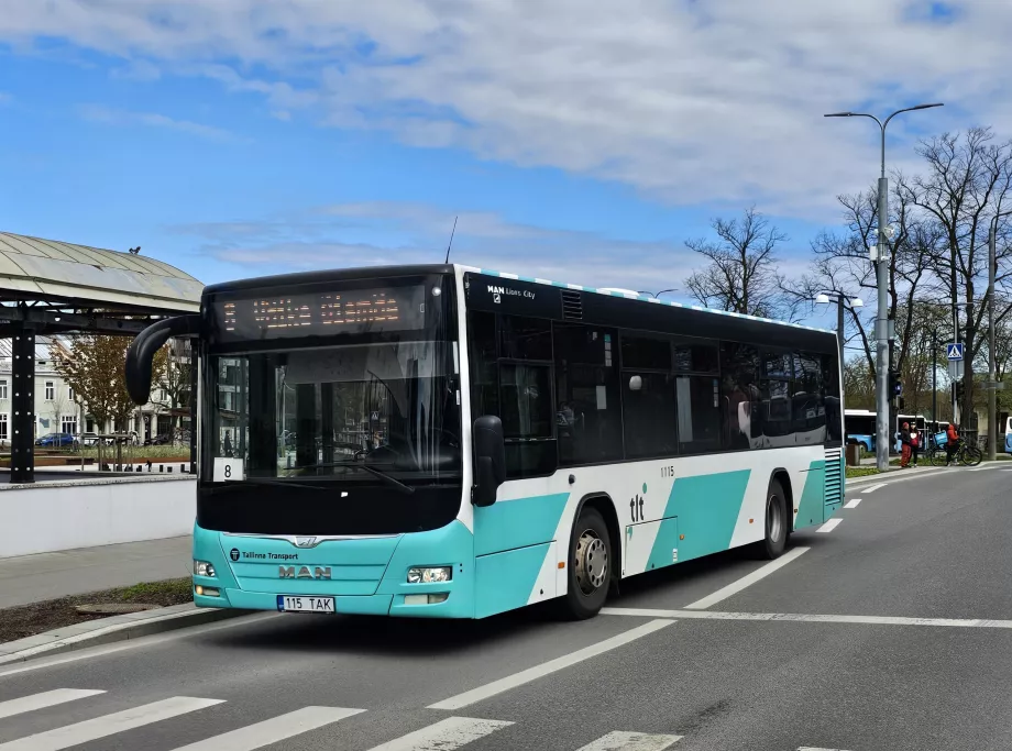 Autobus Tallinn