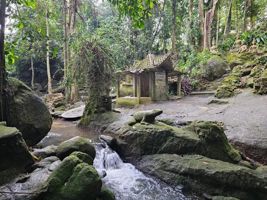Giardino magico di Tamrin