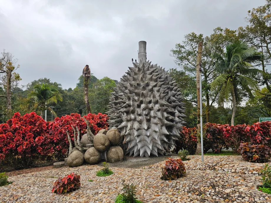 Frutti di pietra magica