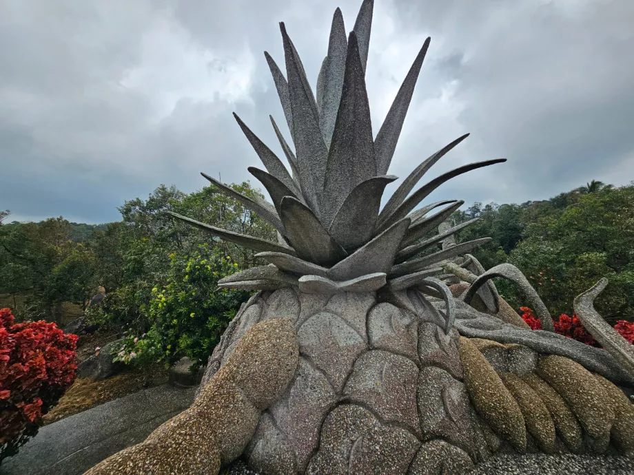 Frutti di pietra magica