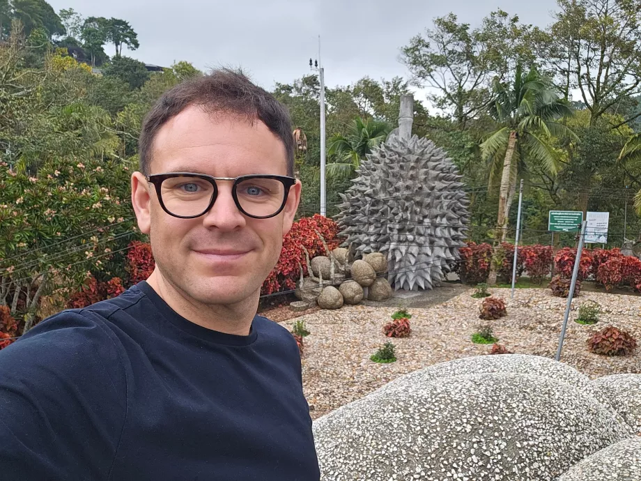 Frutti di pietra magica