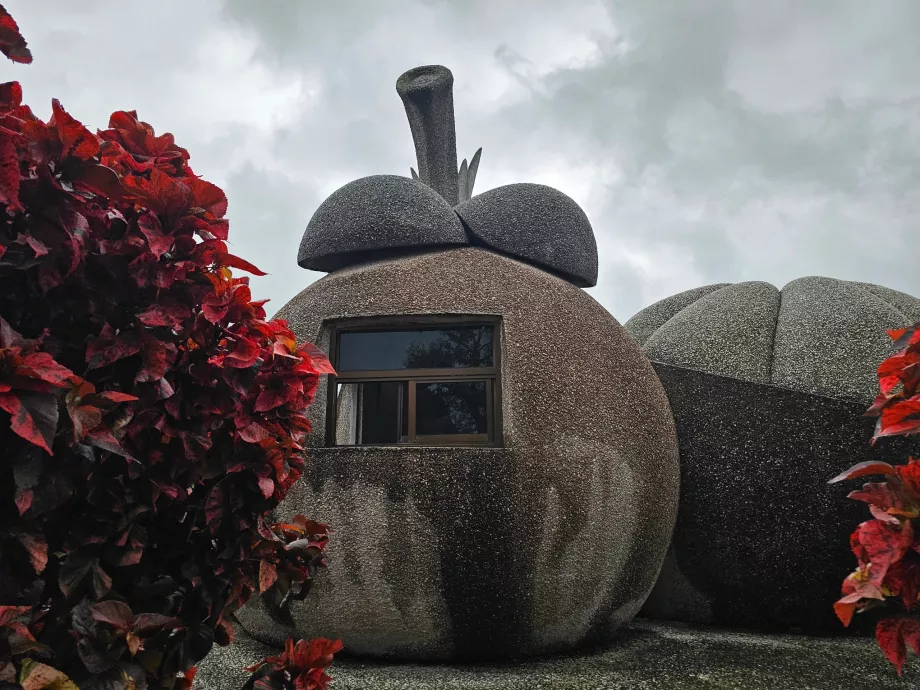 Frutti di pietra magica