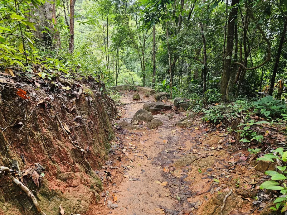 Strada per la cascata di Namuang 2