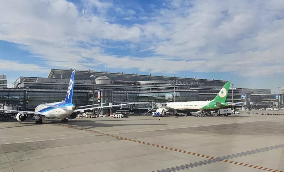 Terminal internazionale 3