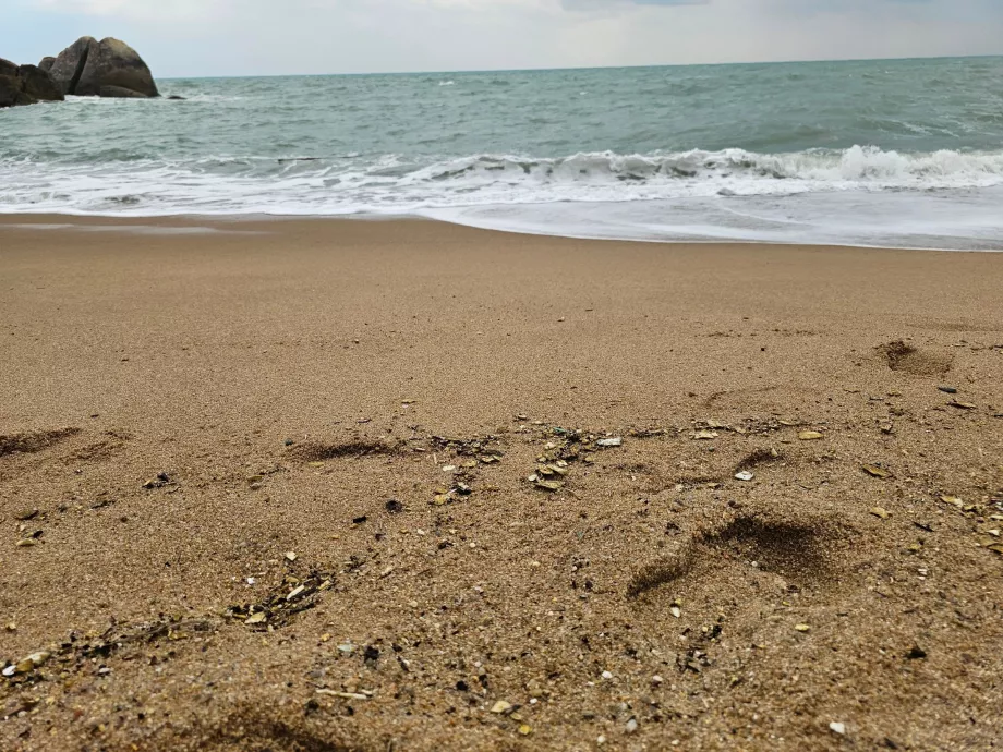 Spiaggia di Coral Cove, qualità della sabbia