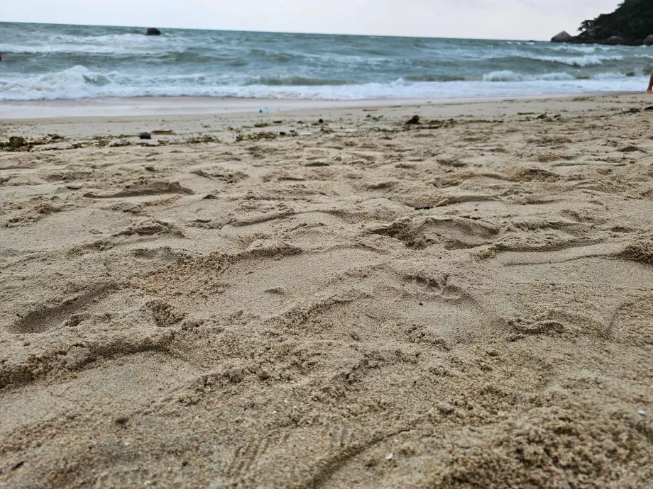 Spiaggia d'argento, qualità della sabbia