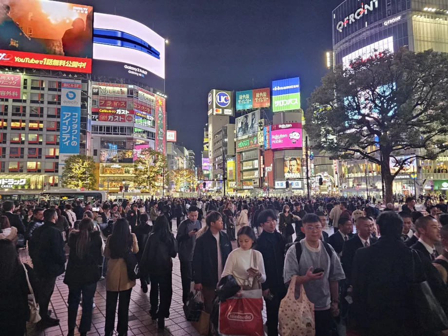Il raccordo di Shibuya di notte