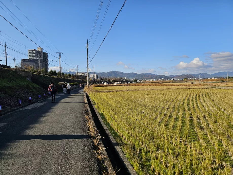 A piedi dalla stazione al battello