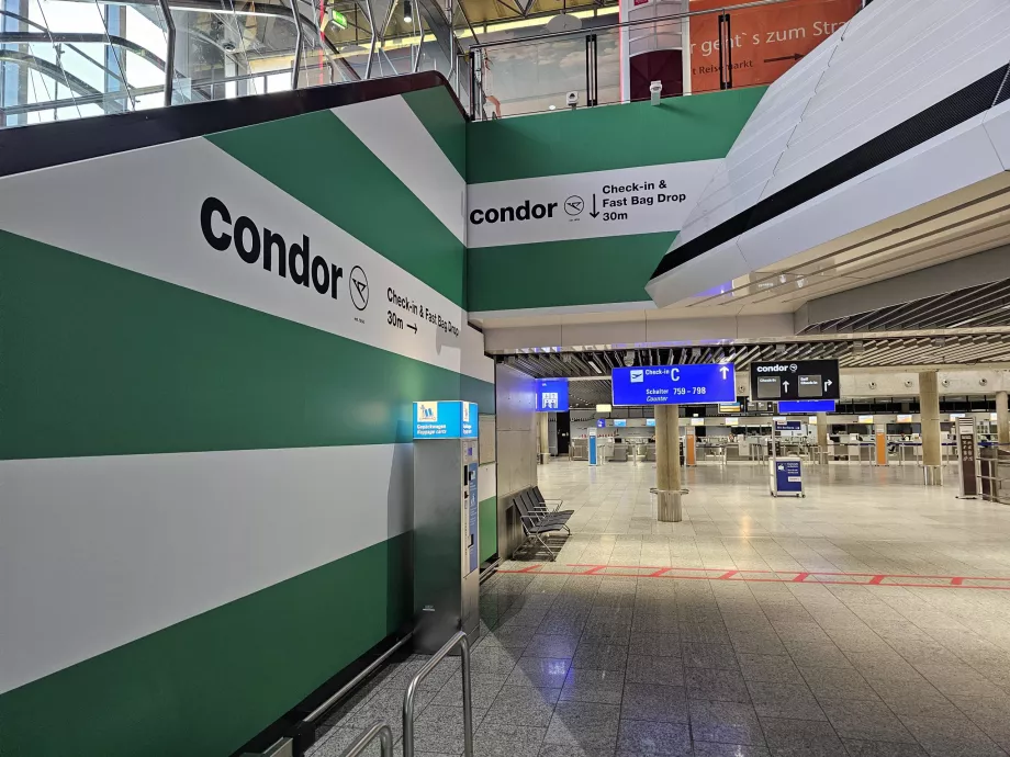 Check-in all'aeroporto di Francoforte