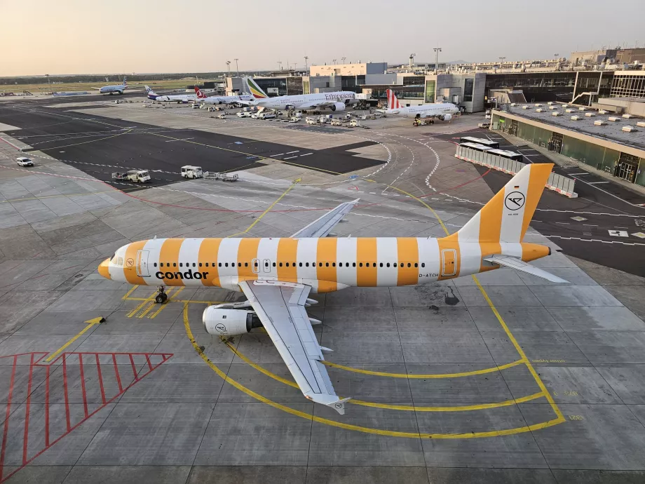 Un Airbus A320 giallo all'aeroporto di Francoforte