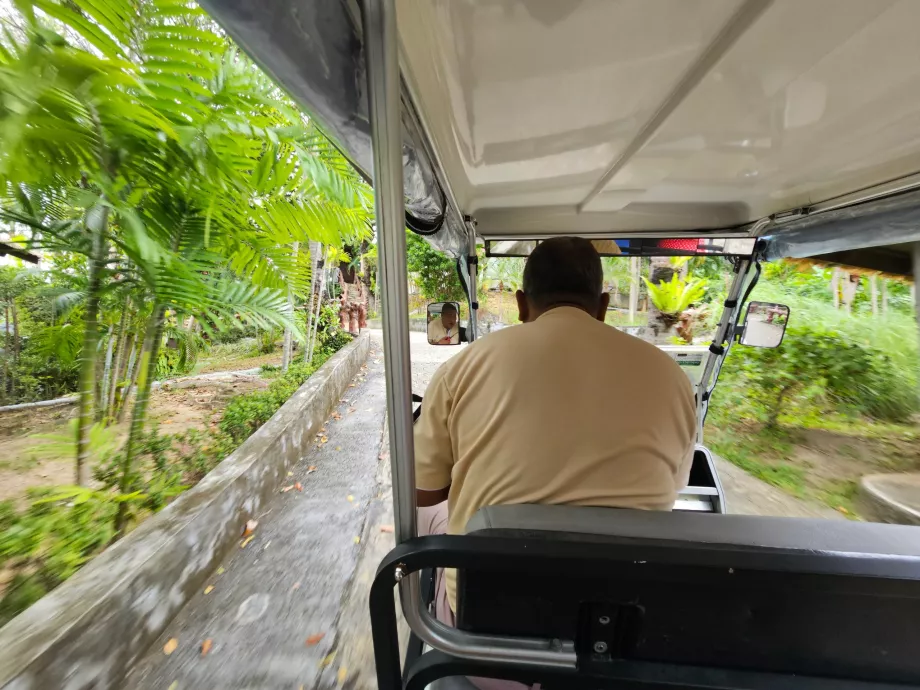 Giro in golf cart