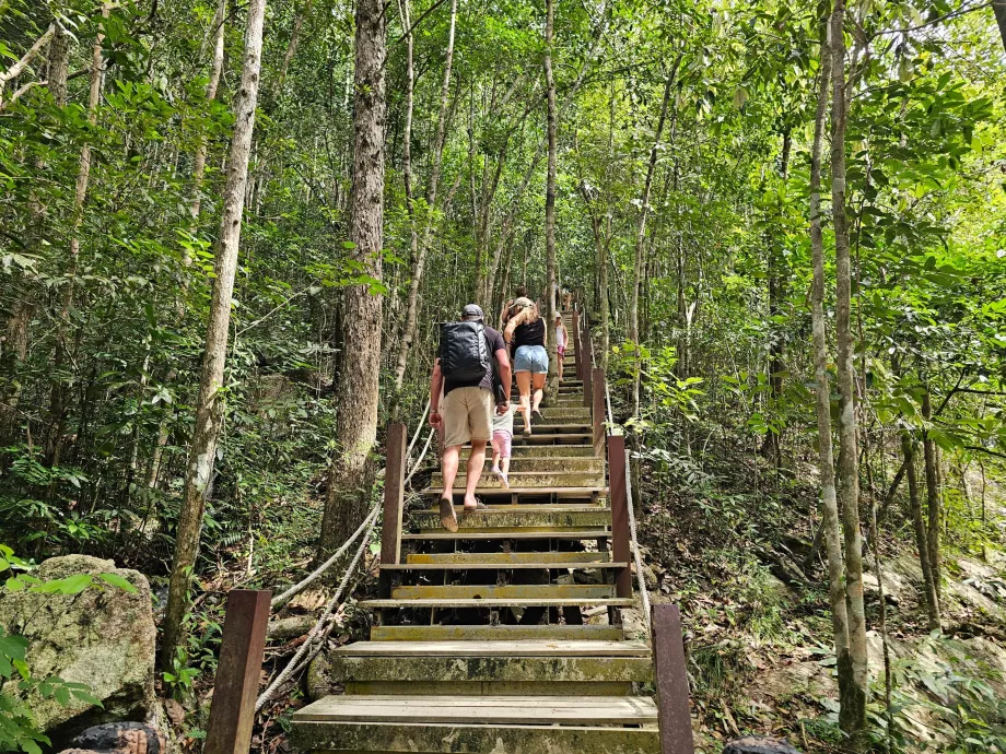 La strada per le cascate