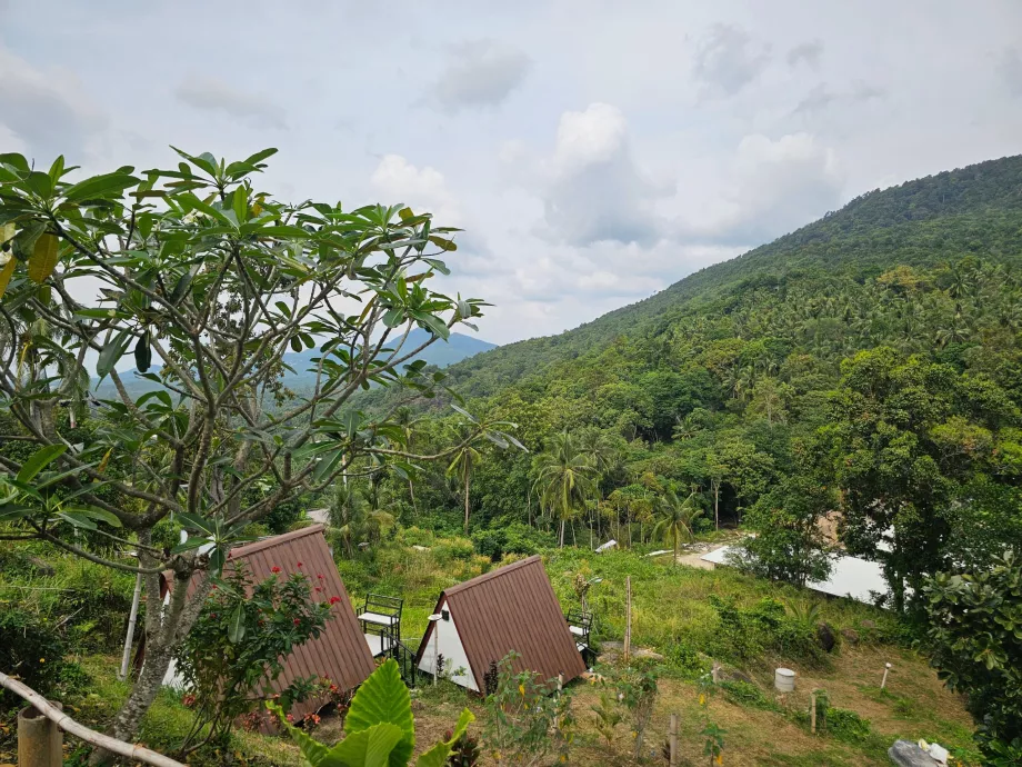 Giungla nell'interno di Koh Phangan