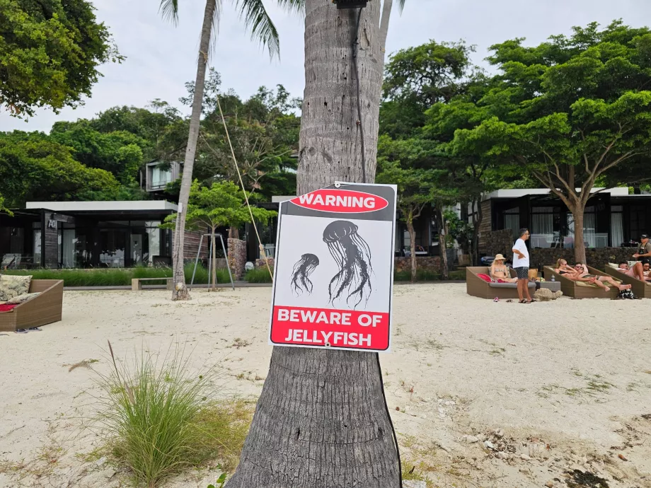 Rin Nai Beach, attenzione alle meduse