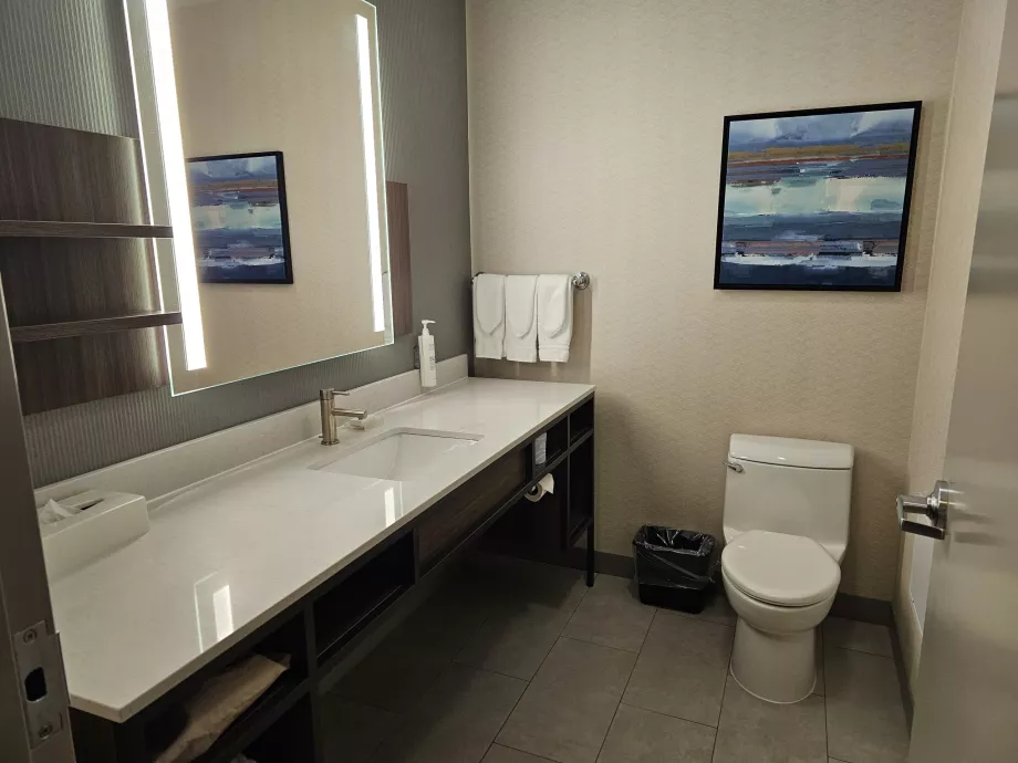 Hilton Garden Inn, bagno