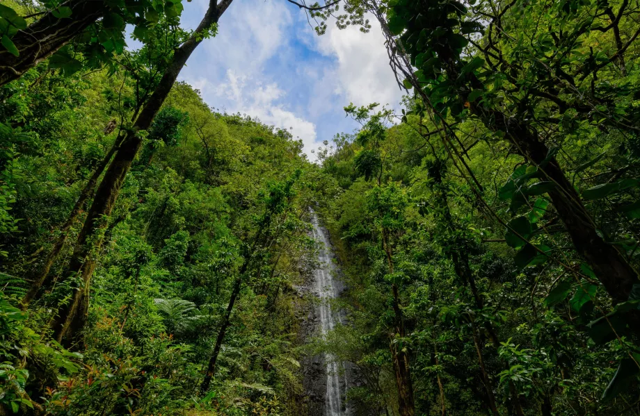 Cascate di Manoa