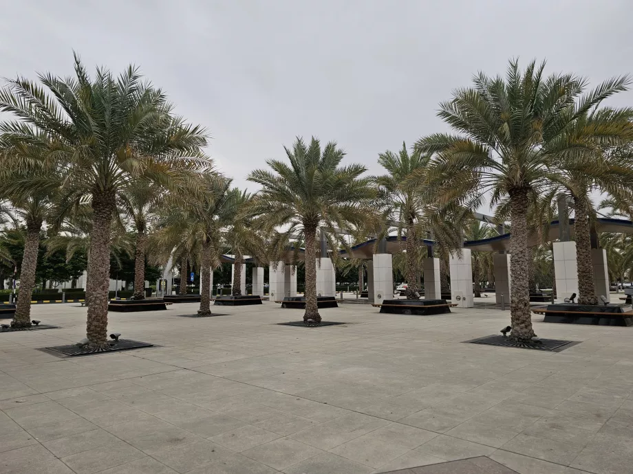 Parcheggiare davanti all'aeroporto