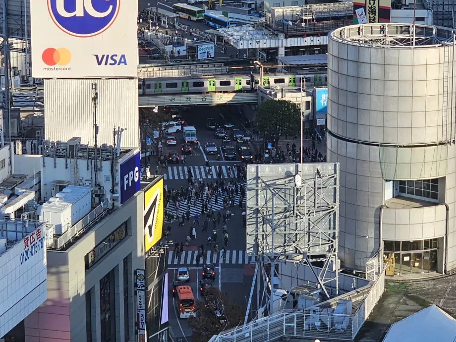 Vista di Shibuya Junction con zoom