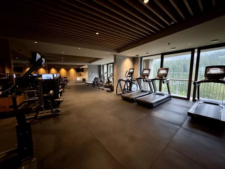 Centro fitness Swissotel Damian Jasna