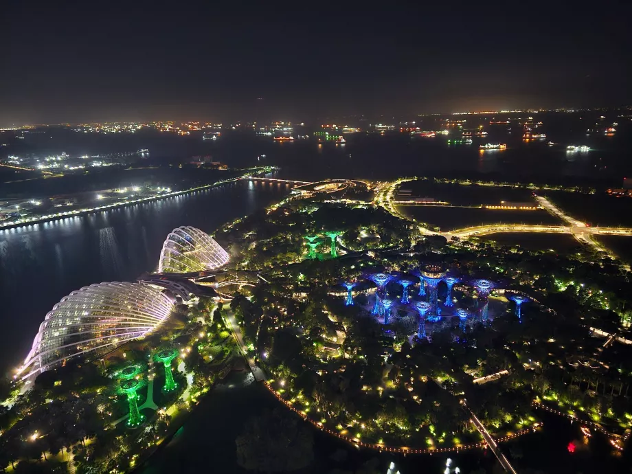 Vista notturna dei Gardens by the Bay