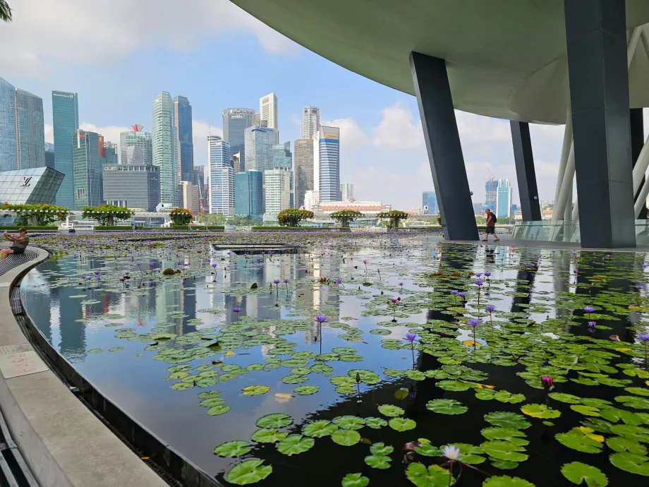 Museo d'arte e scienza