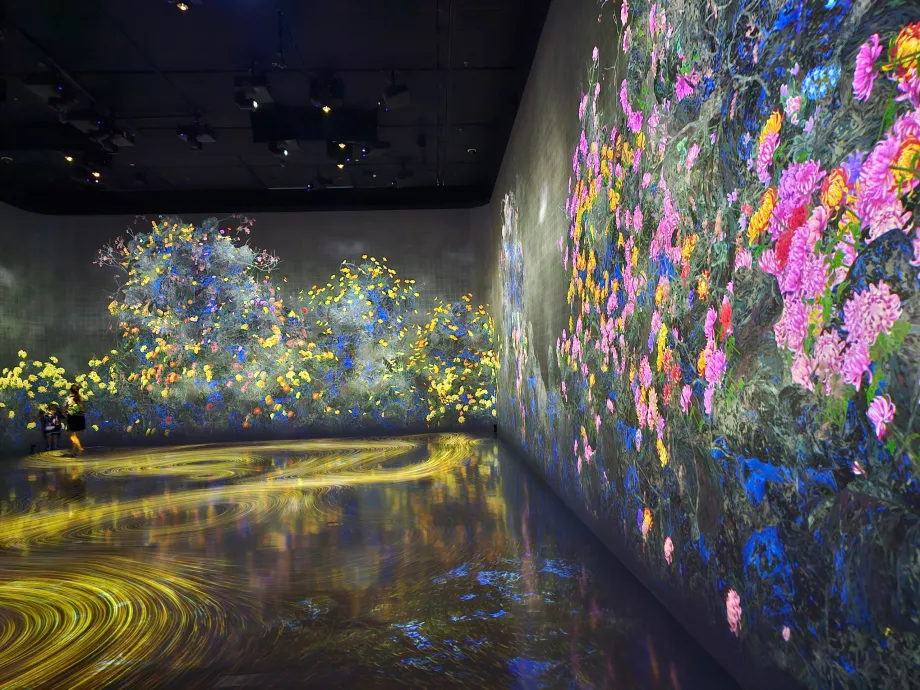 Museo d'arte e scienza