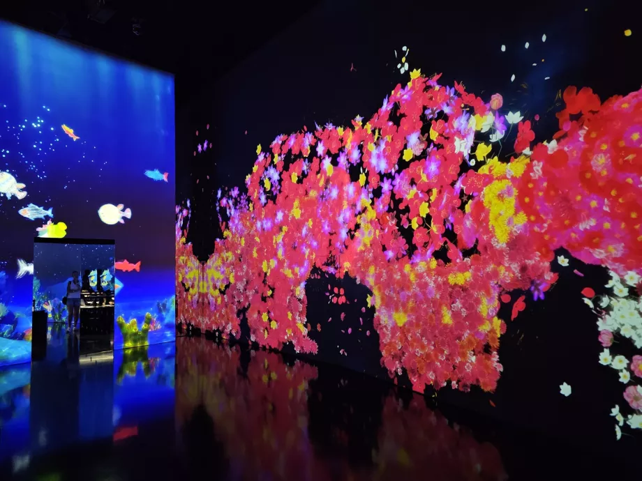 Museo d'arte e scienza