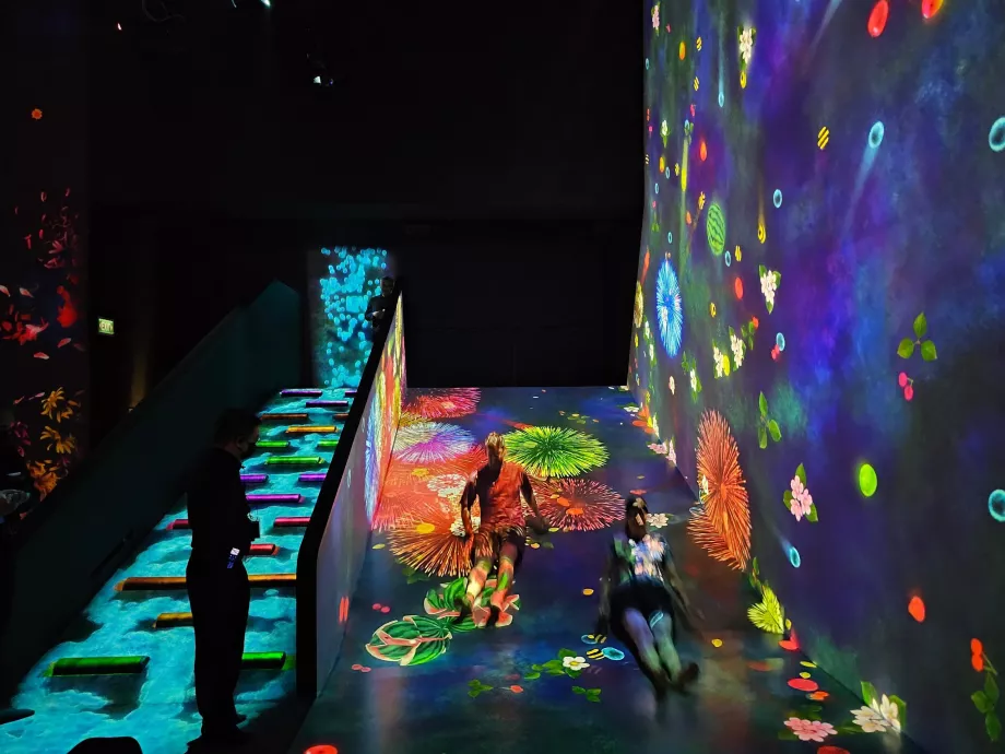 Museo d'arte e scienza