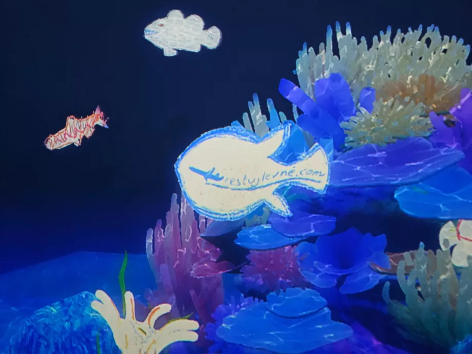 Museo d'arte e scienza