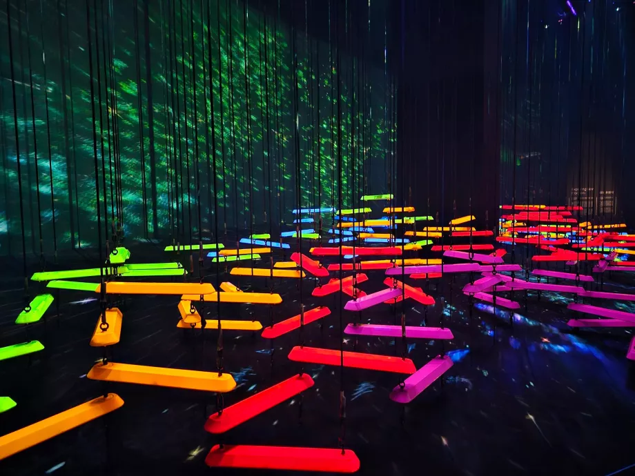 Museo d'arte e scienza