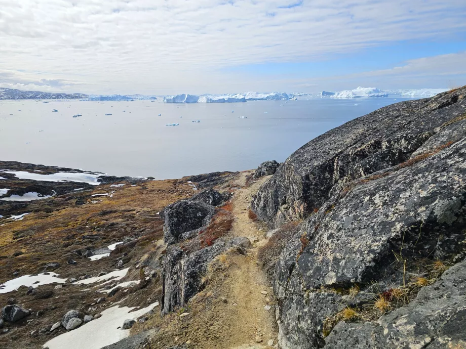 Escursione lungo l'Icefiord
