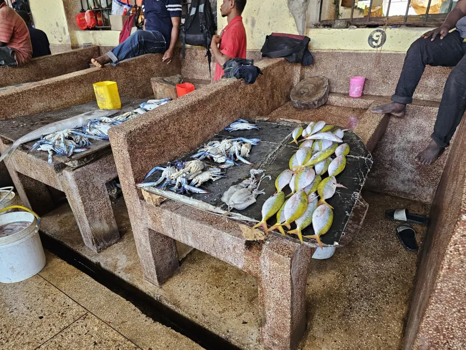 Mercato del pesce