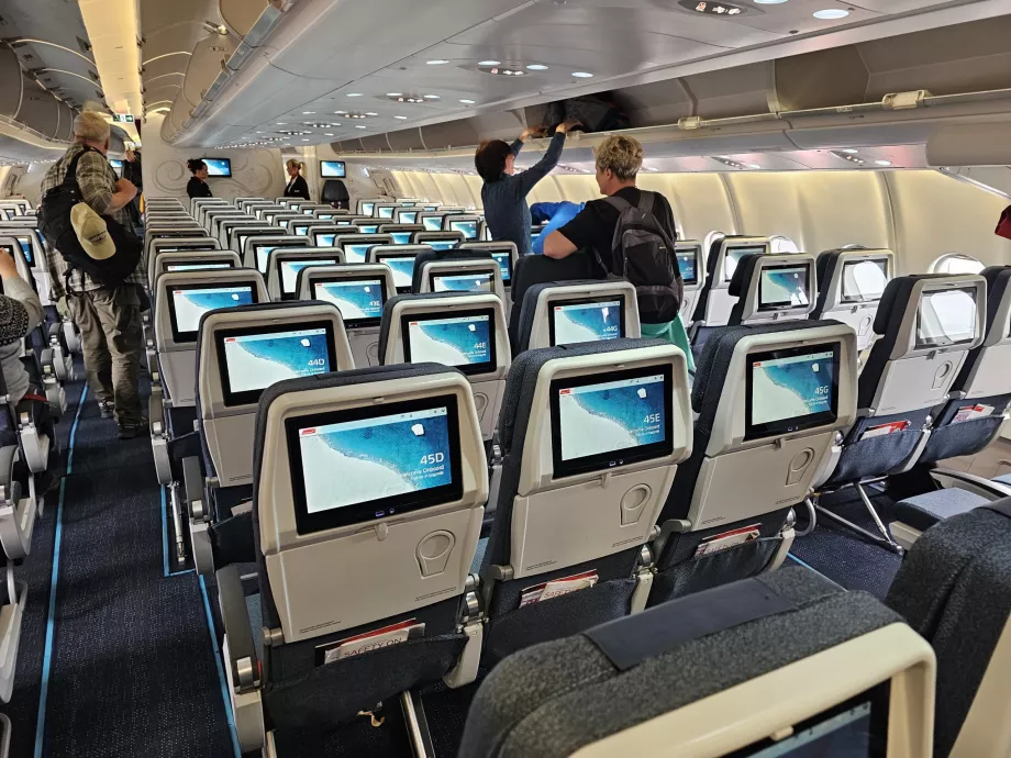 Classe economica, Airbus A330-800