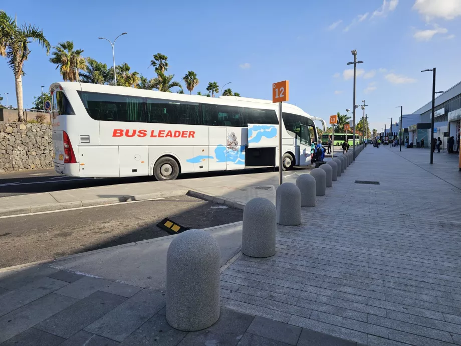 Autobus turistici
