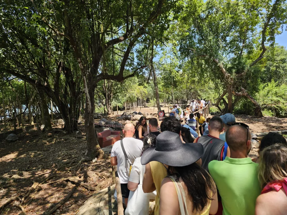 Prison Island, un percorso attraverso il recinto delle tartarughe giganti