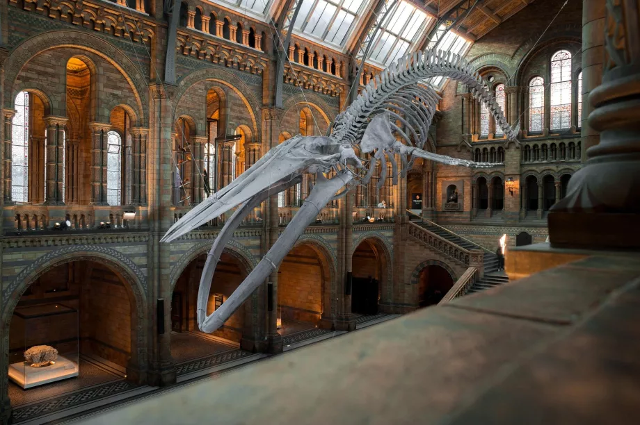 Museo nazionale della natura